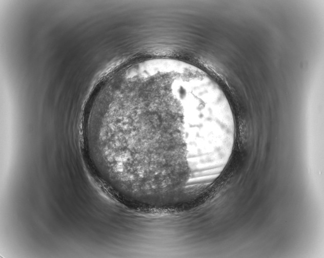 X0000084530682200703161609