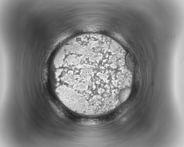 X0000084530683200703161609