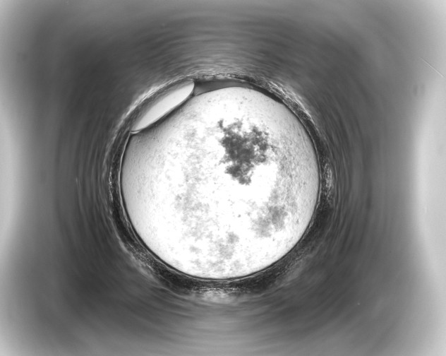 X0000084530684200703161609