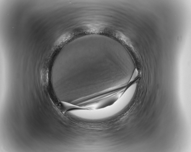 X0000084530685200703161608