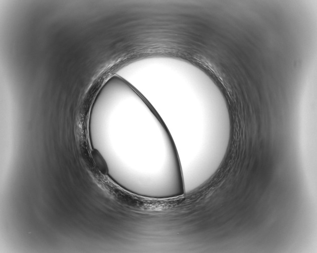 X0000084530688200703161608