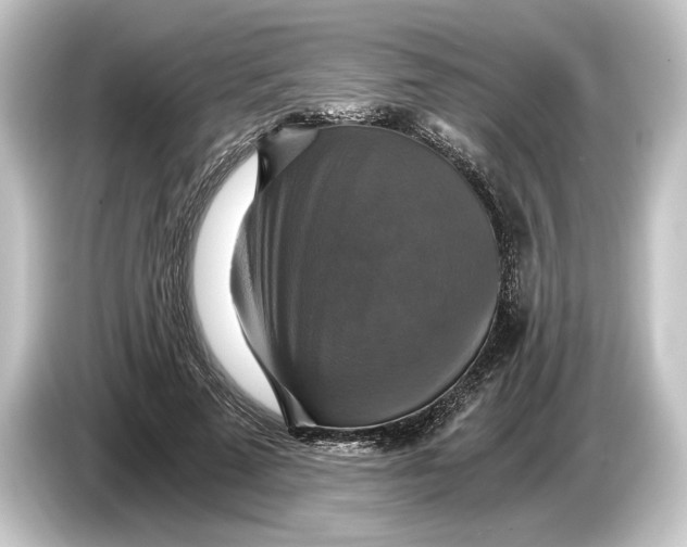 X0000084530689200703161608