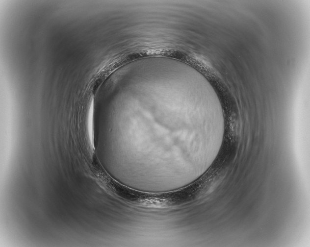 X0000084530691200703161608