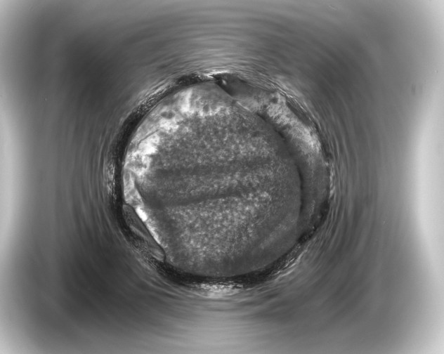 X0000084530693200703161608