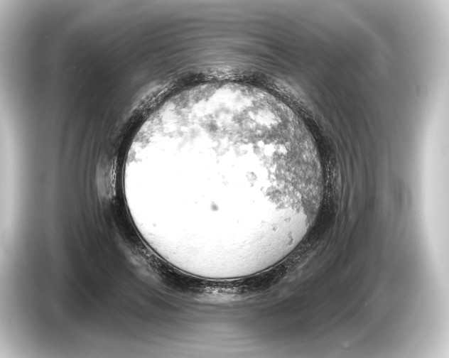 X0000084530694200703161608