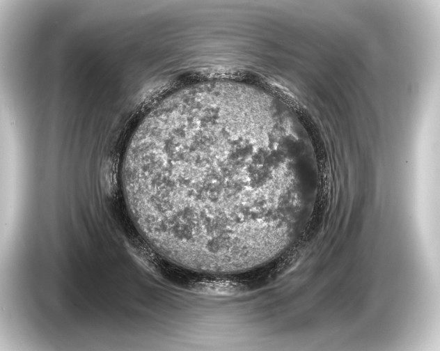 X0000084530695200703161608