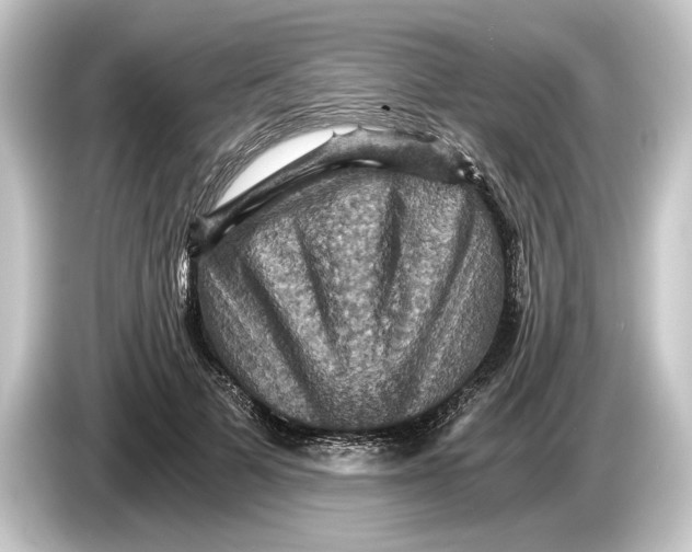 X0000084530697200703161608