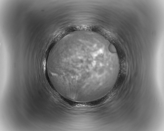 X0000084530699200703161608