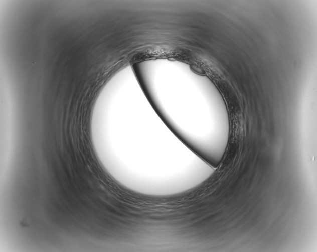 X0000084530700200703161608