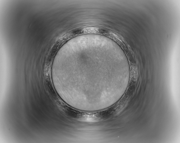 X0000084530701200703161608