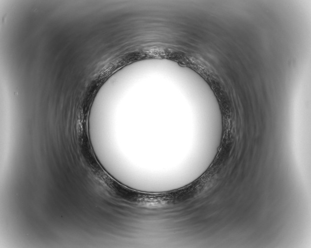 X0000084530702200703161608