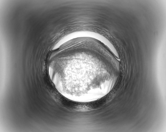 X0000084530704200703161608