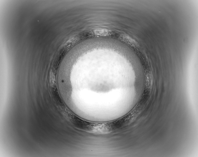 X0000084530705200703161608