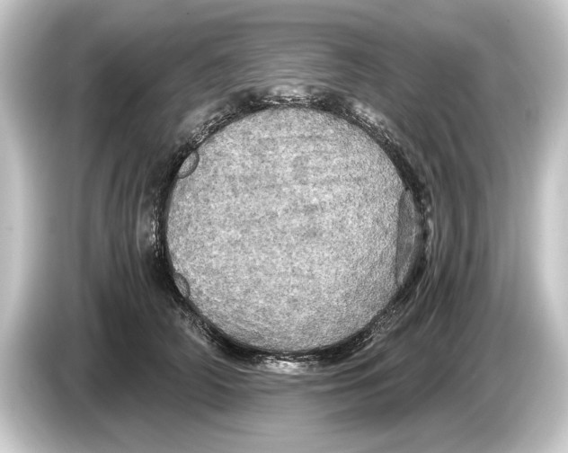 X0000084530706200703161608