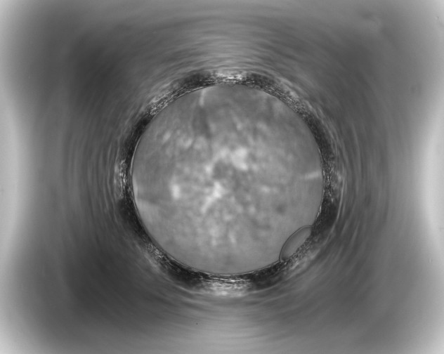 X0000084530707200703161608