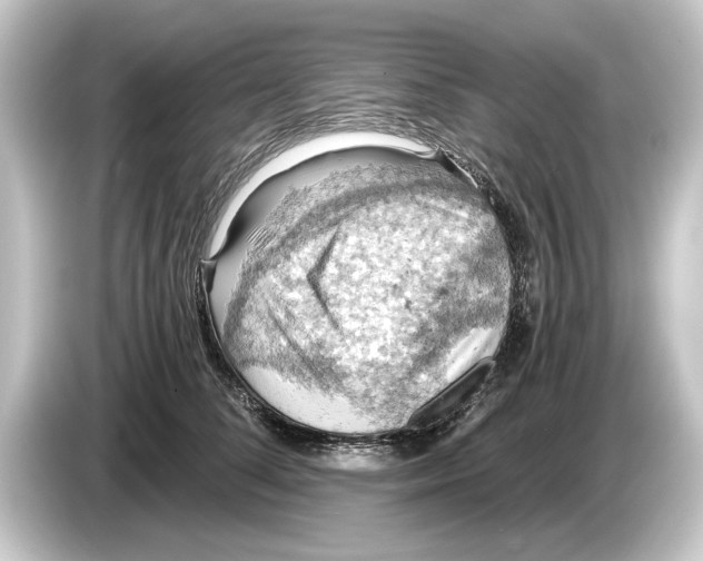 X0000084530708200703161608