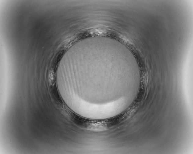 X0000084530709200703161608