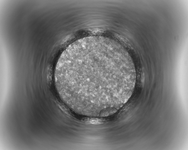 X0000084530710200703161608