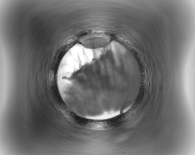 X0000084530711200703161608