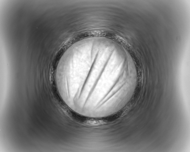 X0000084530712200703161608