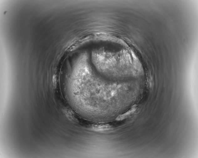 X0000084530716200703161608