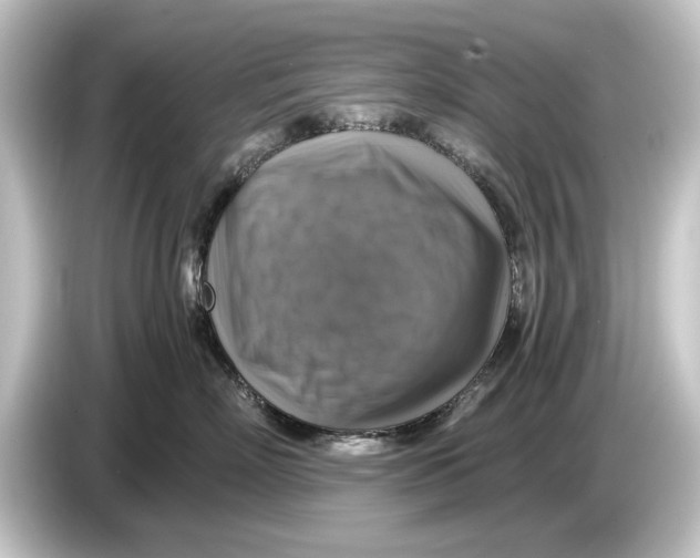 X0000084530718200703161608