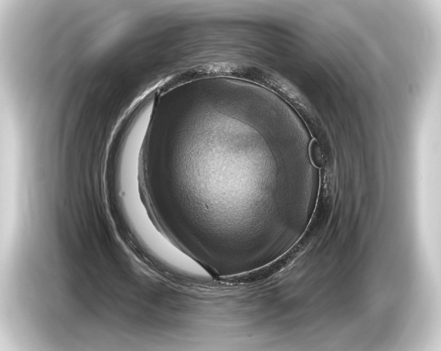 X0000084530722200703161607