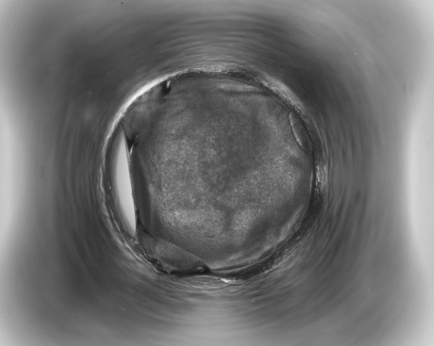 X0000084530724200703161607