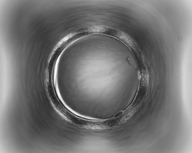 X0000084530726200703161608