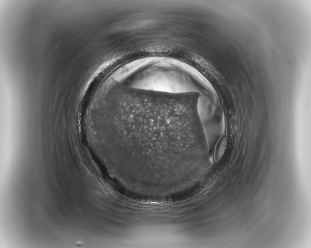 X0000084530727200703161608