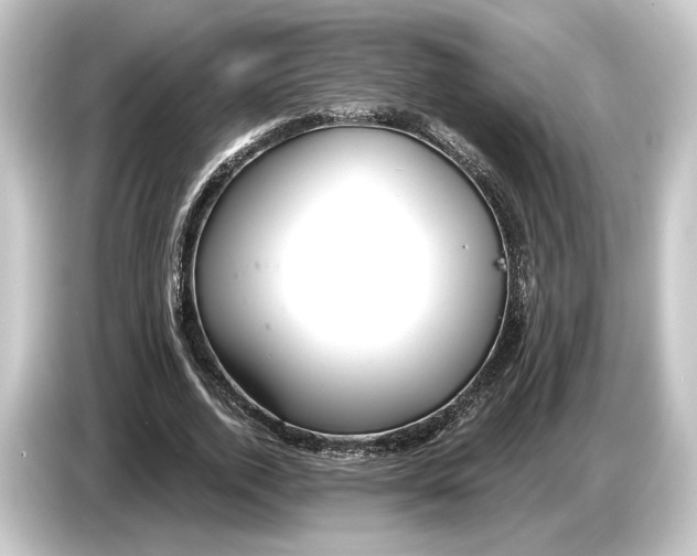 X0000084530728200703161608