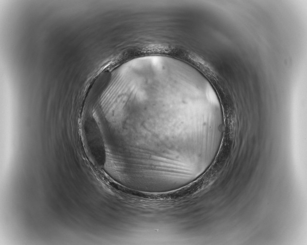 X0000084530729200703161608