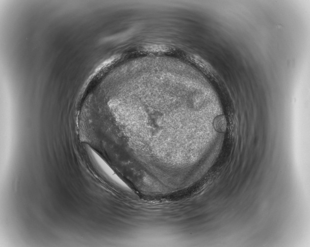 X0000084530731200703161608