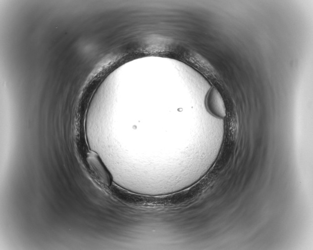 X0000084530732200703161608