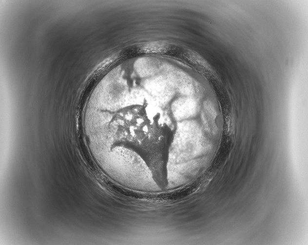 X0000084530733200703161608