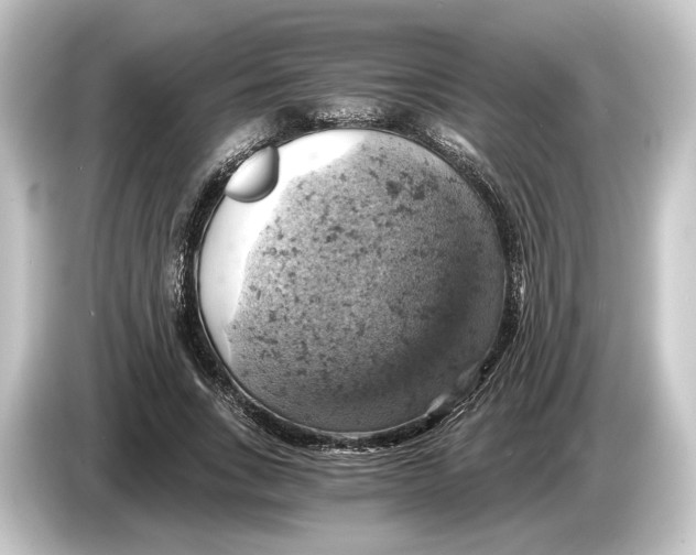 X0000084530735200703161608