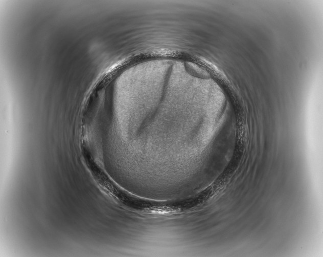 X0000084530736200703161608