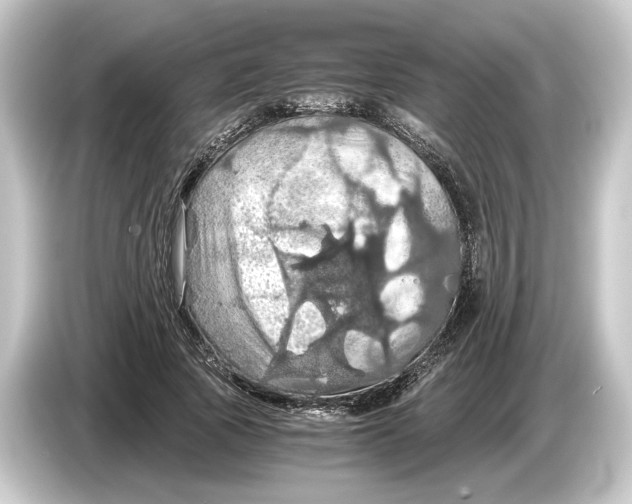 X0000084530737200703161608