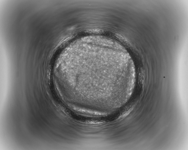 X0000084530739200703161608