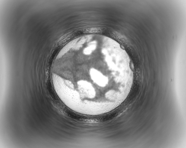 X0000084530741200703161608