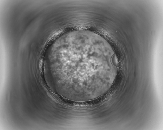 X0000084530742200703161608