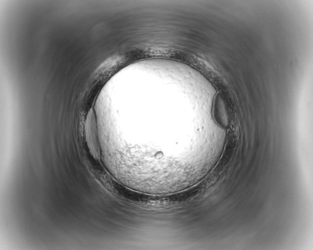 X0000084530744200703161608