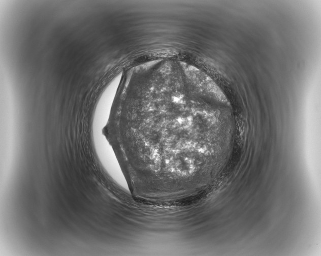 X0000084530745200703161608