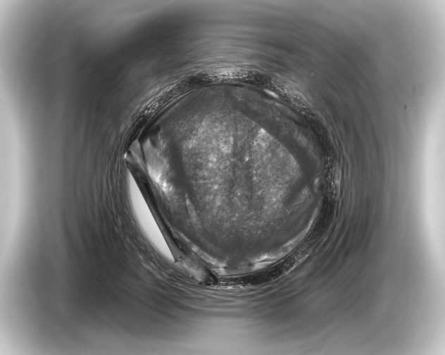 X0000084530746200703161608