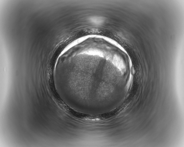 X0000084530747200703161608