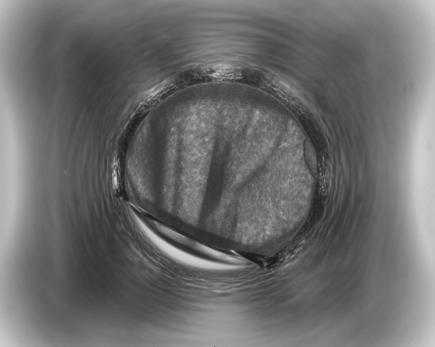 X0000084530748200703161608