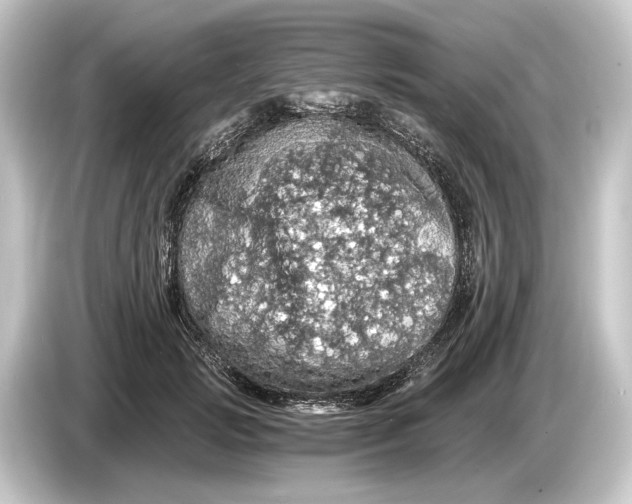 X0000084530749200703161608