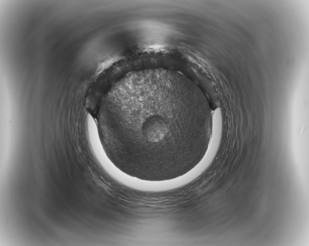 X0000084530750200703161608