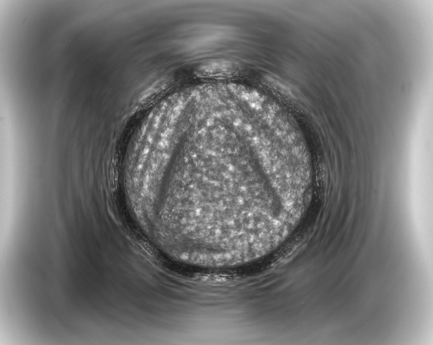 X0000084530751200703161608