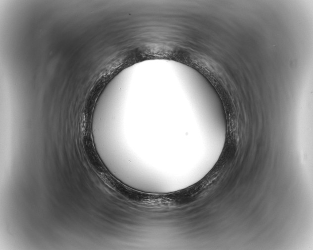 X0000084530752200703161608